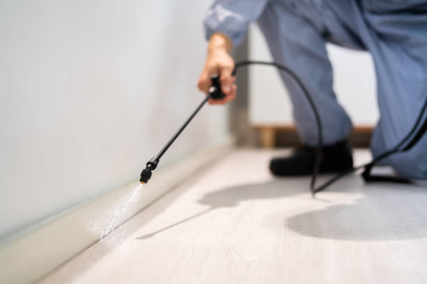 Licensed Cockroach Control service in Tylertown, MS - Nex Pest Control