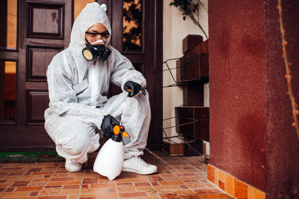 Reliable Cockroach Control contractor in Tylertown, MS by Nex Pest Control