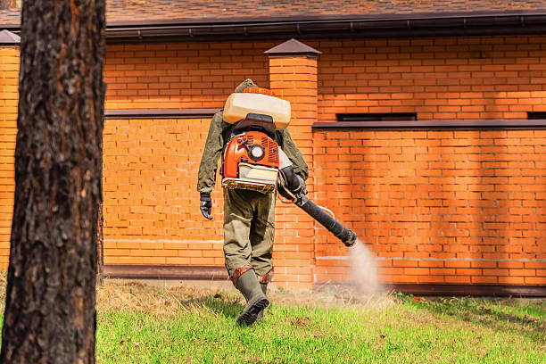 Top rated local Cockroach Control specialists in Tylertown, MS